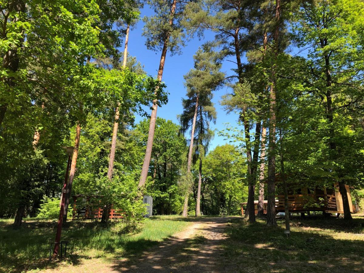 Camping Osenbach Dış mekan fotoğraf